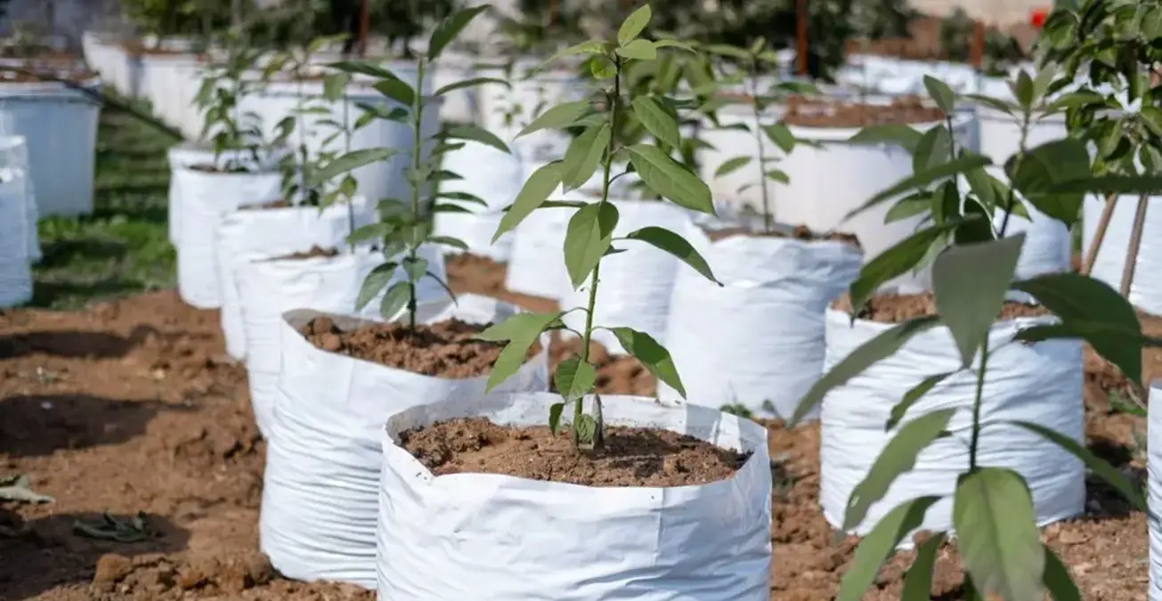 Nursery Garden Bags and Nepal’s Agriculture The Growing Role of Nursery Garden Bags in Nepal’s Agriculture